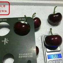 ˹ӣƷ ˹ӣƷ