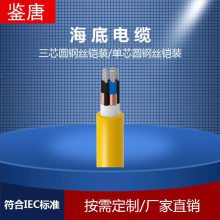 HYJQF41-F-64/110kV-1*1000+2*48B1Եף縴ϣ