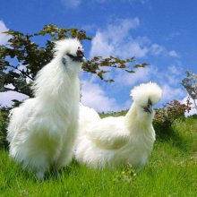 İ׷ڼ ˿۸ ְ׷ڼ ݿ׷ڹǼ