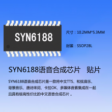 -OSYNO6188-ϳ IC