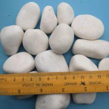 水磨石用白石子 园艺白石子 烟台市白色鹅卵石钱一吨