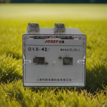ˮˮ DLS-44/4-4˫λü̵ 110VDC  Χ