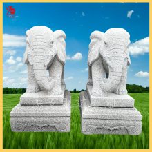 ݰʯſڴ ֥״  ſڰڼֱܶ