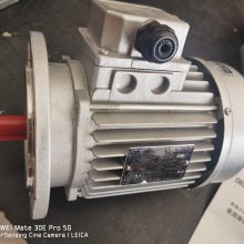 ¶(DEDONG)ƷƵ YS90L-2 2.2KW Сǵ