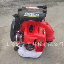 Сɷʽɭ·ҶEBZ8500