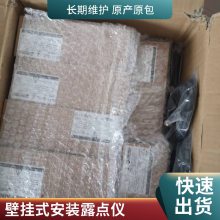 便携式露点仪DP550  压缩空气露点检测 可选配露点采样预处理