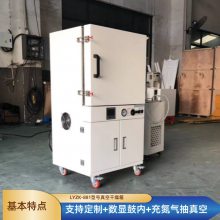 精密型充氮气真空干燥箱 250℃热风循环真空烤箱 立式真空烘箱