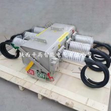 ƽ10KV(12KV)һںϸɿFLW34-12ʽһSF6ɿ