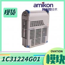 1C31129G03 ģģ