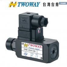 ̨̨TWOWAYѹ̵DNM-02W-250K,DNM-02P-250K