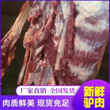 ¿ 䶳¿ ϸ 