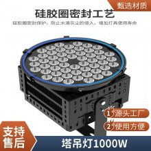 LED 300w400w500W1000WVؽ̽Ͷ