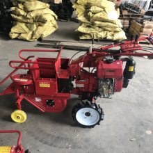 小型单行玉米收割机 玉米扒收获机 家用收玉米机械