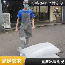 北重庆大冰块配送 工业用冰 机房车间 干冰 工厂降温冰制冰厂