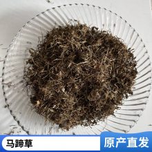 半边钱中药材 积雪草今年新货全国发货 欢迎订购