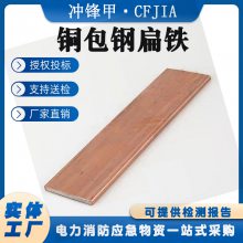 电力工程避雷接地镀铜扁铁30*3铜覆钢扁铁风力发电铜扁铁 国兴