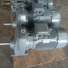 RT100/63-3000-0.75-B8ͬٻP2KA11