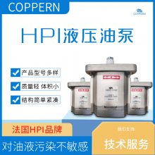 供应 法国HPI齿轮油泵P3BAN1003CL10B01N液压站润滑油泵高压泵