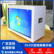 49紥oled͸Һʾ3DȫϢͶӰ͸Һƴչʾ