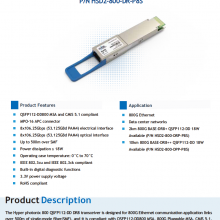 Ӧ800G QSFP112-DD DR8 SiPh Optical Transceiver Module P/N HSD2-800-DR-P8S