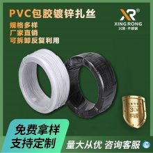 现货供应兴荣园林葡萄藤0.55mmPVC扎带 镀锌绑扎丝