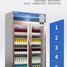 星星冷藏饮料柜商用风直冷智能展柜冰箱立式大容量陈列啤酒柜双门