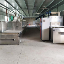 穿透式黑水虻微波烘干隧道炉 沃斯特 自动化昆虫膨化设备