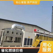 co催化燃烧炉 喷涂废气处理设备 活性炭吸附脱附一体机装置