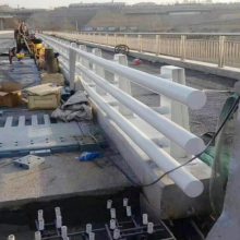 防撞道路护栏厂家直销-山东神龙金属护栏厂家