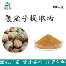 覆盆子提取物 斯诺特生物 喷雾干燥工艺 食品级原料粉
