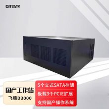 GITSTAR集特 全国产飞腾D3000塔式工作站GPC-200 八核信创服务器