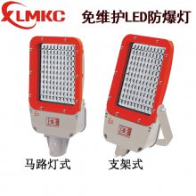 㽭BZD188-03-100W 40wLED·BDZ98LED· տǳ