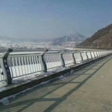 山东昌盛联合护栏公司-毕节灯光不锈钢栏杆
