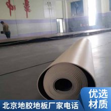 舞蹈地胶幼儿园地垫室内舞蹈教室健身房地面专用塑胶地板