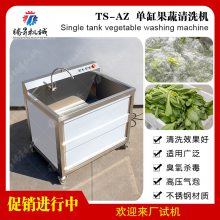不锈钢豆芽蔬菜气泡清洗机 小型多功能商用洗菜机 单缸果蔬洗菜机