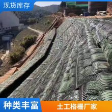 道路工程 单项塑料土工格栅 增强路基 DG80 世杰工程材料