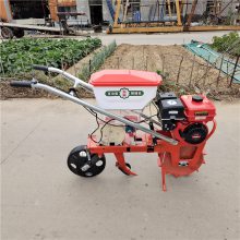 汽油施肥播种机 手推式玉米地追肥机 果园播种追肥机