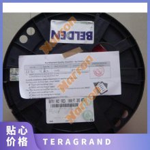 CAT6A-UB-07 , 7Ӣ CAT6A ɫ TERA GRAND