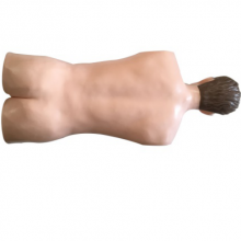 中医推拿训练模型YR-ZCV