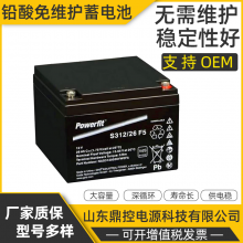 GNBS312/24ǦάPowerfitܱʽ12V24AHUPSϵԴװάѲ