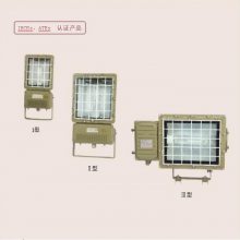 供应华荣防爆 HRT53系列防爆泛光灯(IIC)