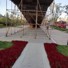 景区七彩滑道搭建网红七彩滑道租赁旱雪滑道租赁