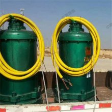 厂家发货BQS矿用防爆潜水泵 携带方便隔爆型潜水泵 BQS潜水泵