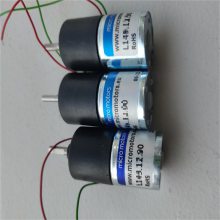 意大利 MICRO MOTORS P205.24.39 微电机 H+L RVW-4P2T1MZ300