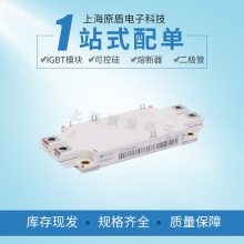 ϺӦӢBSM100GB170DLCģ