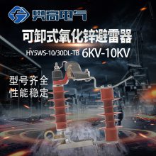 ѹпHY5WS-10/30DL-TBжʽ6KVʽ10KV