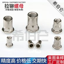 六角铆螺母 冷镦加工非标定做特殊规格 不锈钢拉铆螺母