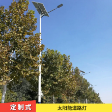 平舆县太阳能路灯厂 小太阳款型LED照明灯 乡村亮化产品供应
