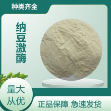 纳豆激酶厂家 枯草杆菌蛋白激酶20000FU/g食品原料纳豆粉 资质齐全