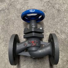  װʽˮƽװ U41SM-16P DN65 304